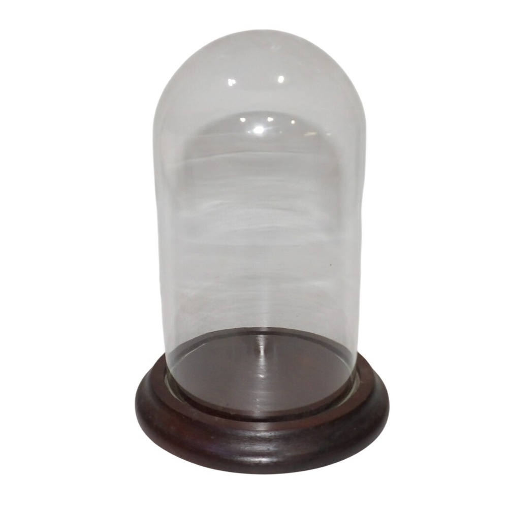 Vintage Glass Cloche Bell Jar with Dark Wood Base 7.75 Inch Display Dome